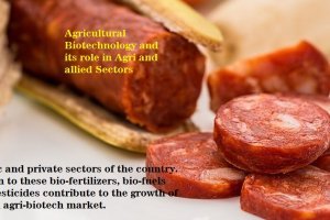 Agricultural Biotechnology and its role in Agri and allied Sectors