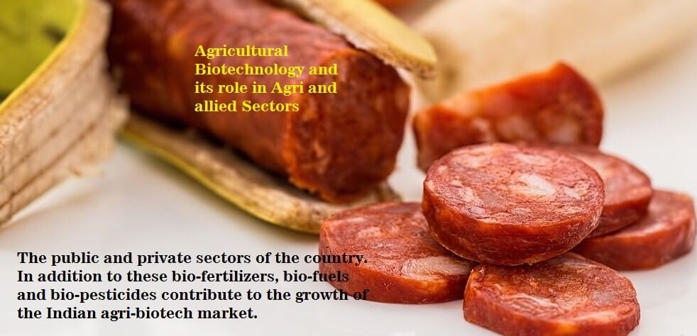 Agricultural Biotechnology and its role in Agri and allied Sectors