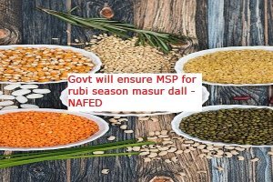 Govt will ensure MSP for rubi season masur dall - NAFED