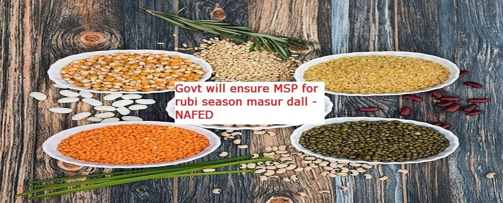Govt will ensure MSP for rubi season masur dall - NAFED