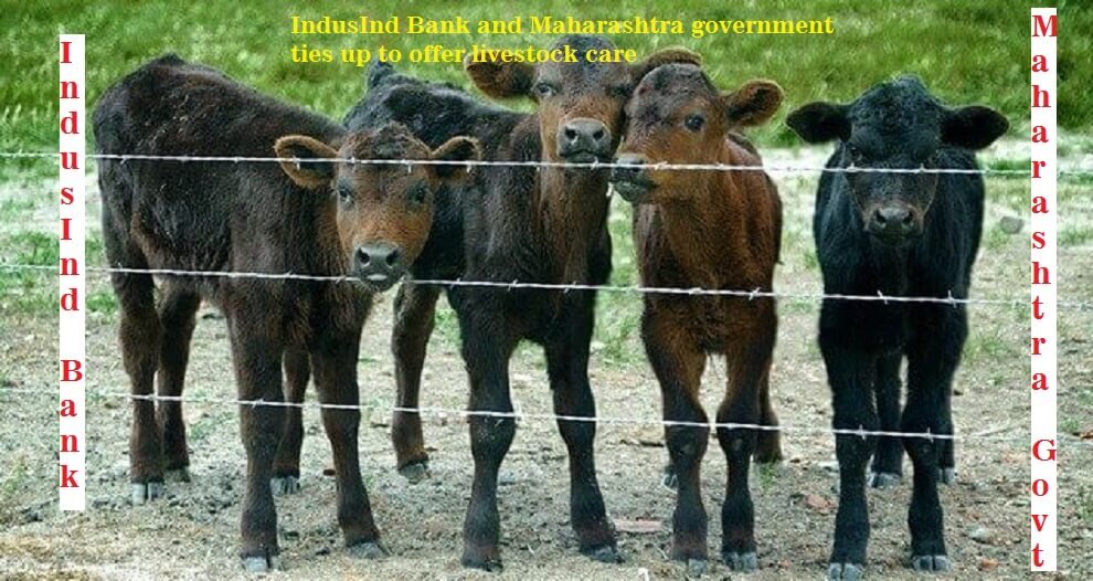 IndusInd Bank and Maharashtra government ties up to offer livestock care