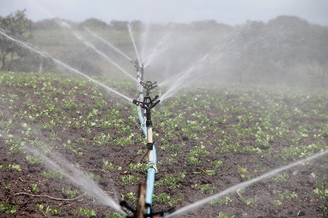 irrigation subsidy