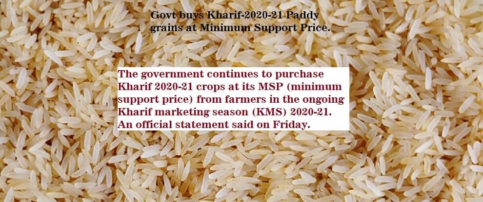 Govt buys Kharif-2020-21 Paddy grains at Minimum Support Price