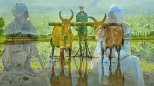 Why National Farmers Day observed every year on Dec 23 in India