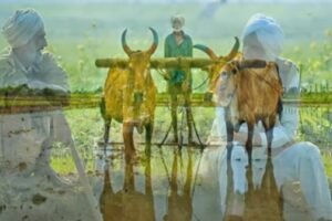 Why National Farmers Day observed every year on Dec 23 in India