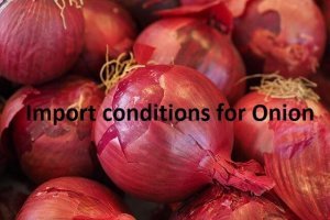 import condition for onion