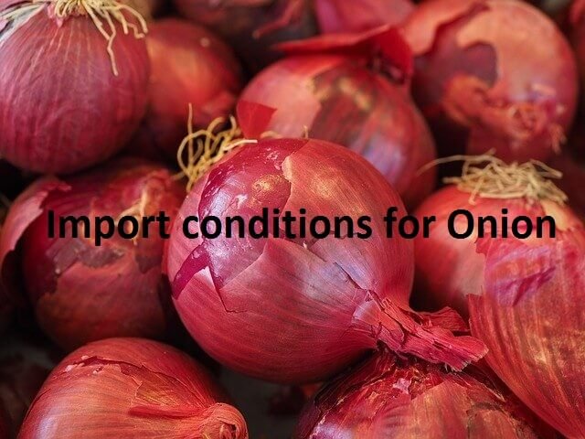 import condition for onion
