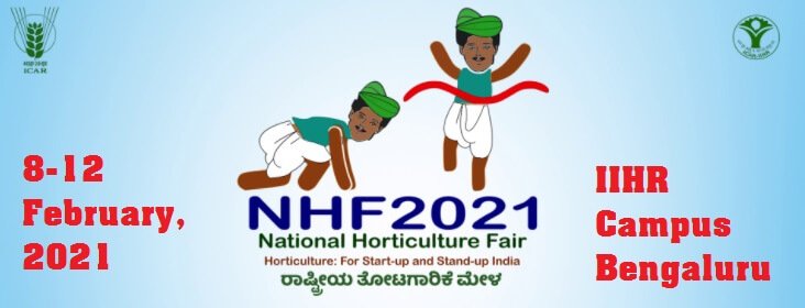 IIHR NHF 2021
