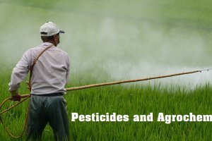 Pesticides and Agrochemical
