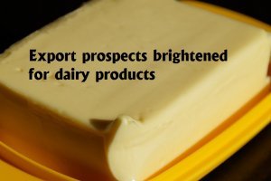 export prospects brightened for dairy products