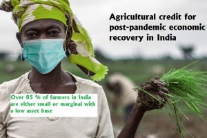 Agricultural credit for post-pandemic economic recovery in India