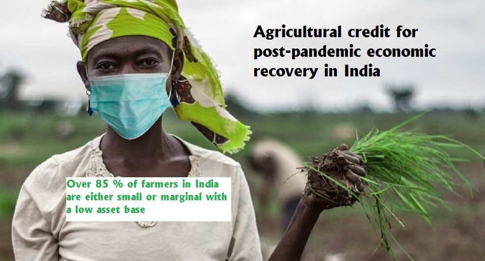 Agricultural credit for post-pandemic economic recovery in India