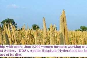Apollo-Hospitals-to-work-with-millets-growing-women-farmers-for-hospital-diet