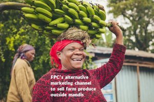 FPC's alternative marketing channel to sell farm produce outside mandis