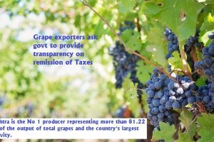 Grape exporters ask govt to provide transparency on remission of Taxes