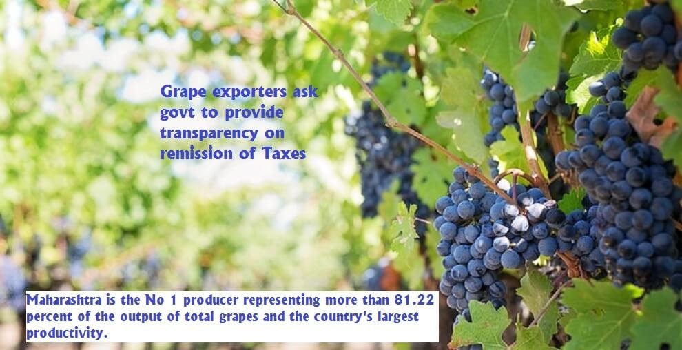 Grape exporters ask govt to provide transparency on remission of Taxes