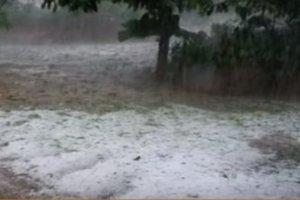 Heavy rains, hailstorms struck standing rabi crops, Onion and grapevine