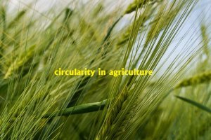 Intellecap, TRIF launch platform for the promotion of circularity in agriculture