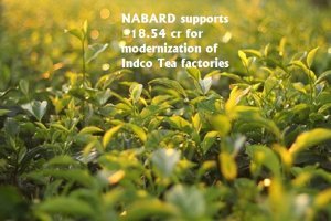 NABARD supports ₹18.54 cr for modernization of Indco Tea factories