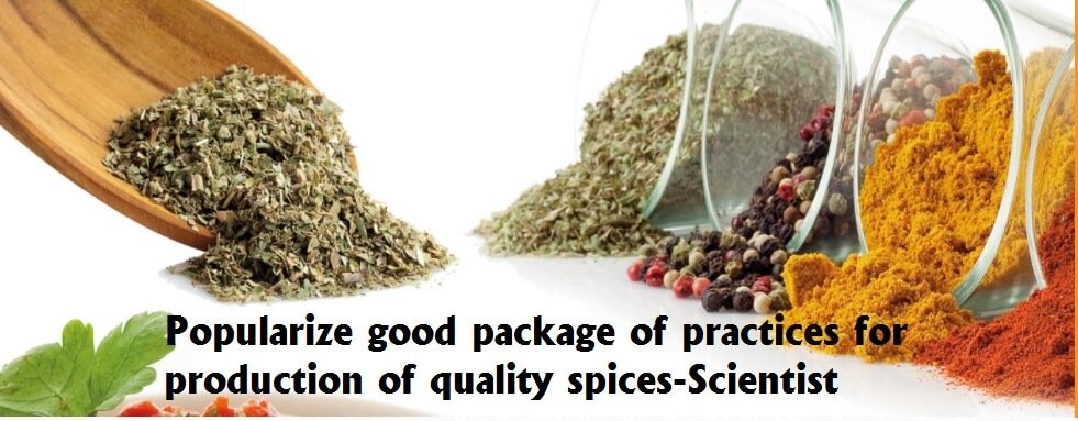 Popularize good package of practices for production of quality spices