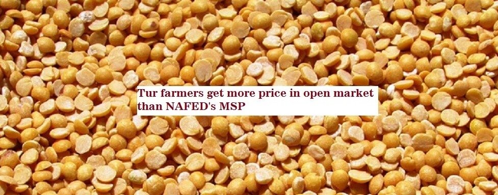 Tur dal farmers get more price in open market than NAFED MSP