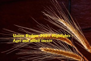 Union Budget 2021 Highlights on Agri and allied sector