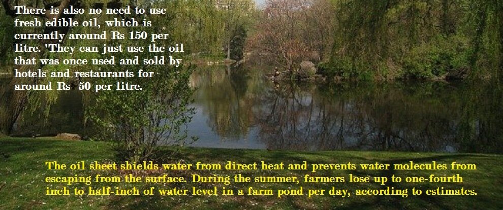 A slick of edible on pond's water surface can reduce evaporation by 70%
