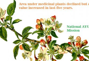 Area under medicinal plants declined but export value increased in last five years