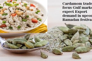 Cardamom trade focus Gulf market, expect Export demand in Ramadan festival