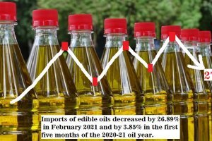 Edible oils imports dropped by 26.89% in Feb 2021 due to excessive imports and higher prices