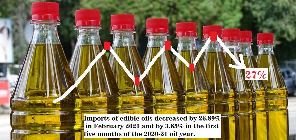 Edible oils imports dropped by 26.89% in Feb 2021 due to excessive imports and higher prices