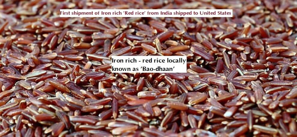 "First shipment of Iron rich 'Red rice' from India shipped to United States"