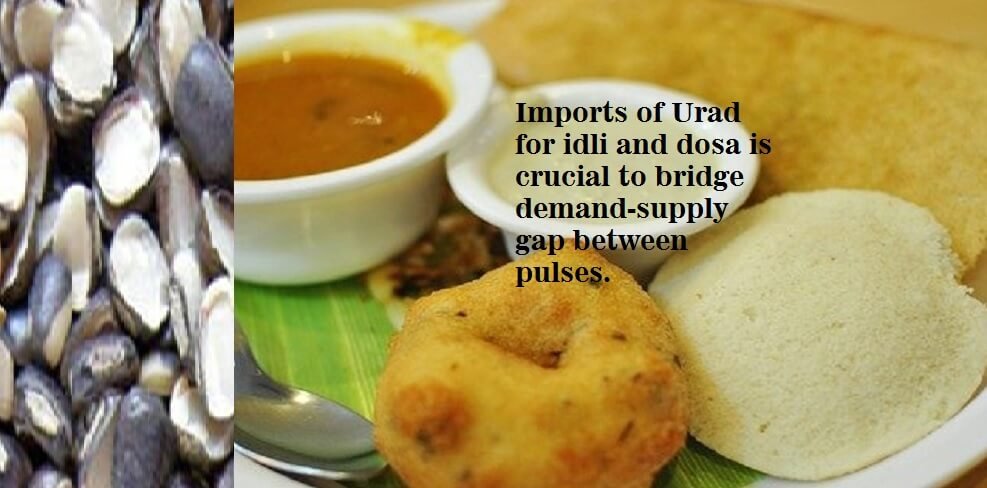Imports of Urad for idli and dosa is crucial to bridge demand-supply gap between pulses