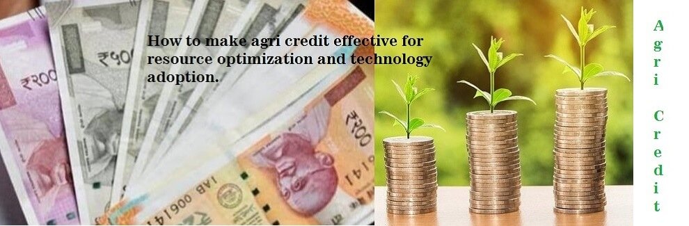Improving effectiveness of agri credit to catalyse growth in agri sector
