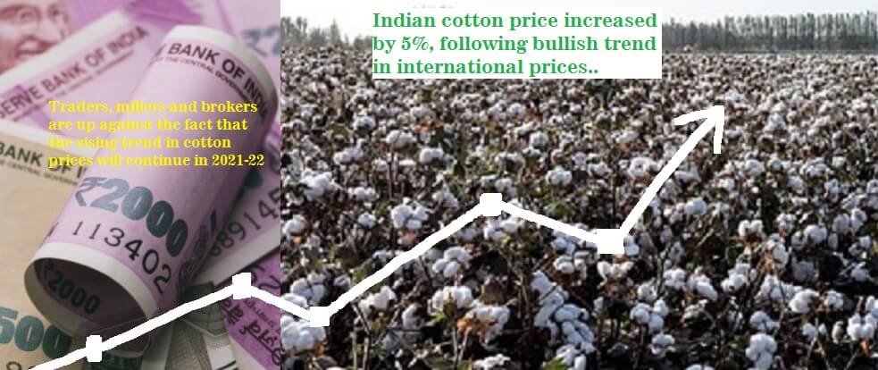 Indian cotton price increased by 5%, following bullish trend in international prices