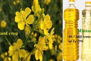 Oil Industry forecasts record mustard crop of 89.5 lt in 2020-21, up by 19%