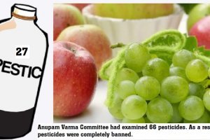 "27 pesticides are under ban consideration"