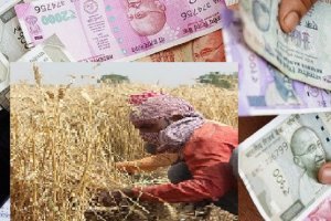 "Punjab Govt waives farm debt loans"