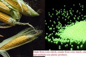 "Gurgaon-based firm begins making biopolymer from corn starch"