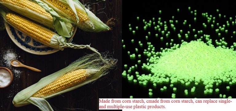 A Gurgaon-based company developed bio-compostable polymer from corn starch