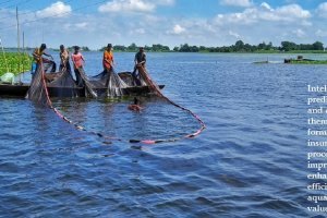 "Google Startups Accelerator - aquaculture"