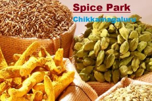 "Spice Park Comes in Chickkamagaluru Karnataka"