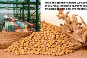 "India imports soy meal for animal feed purchase"