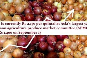 "Onion prices in the commodity's hub, have risen by ₹750 per quintal"