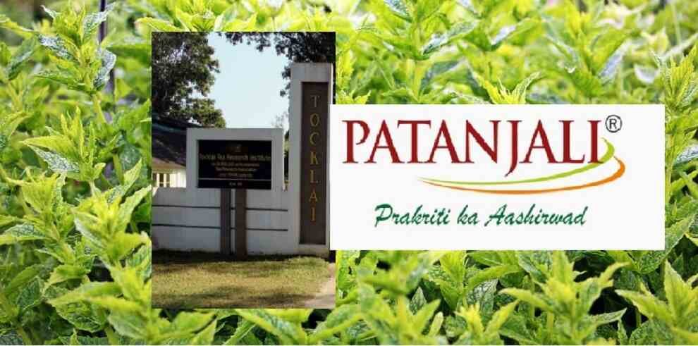 "Patanjali and TRI to ink MOU for tea compounds, medical plant buy back"
