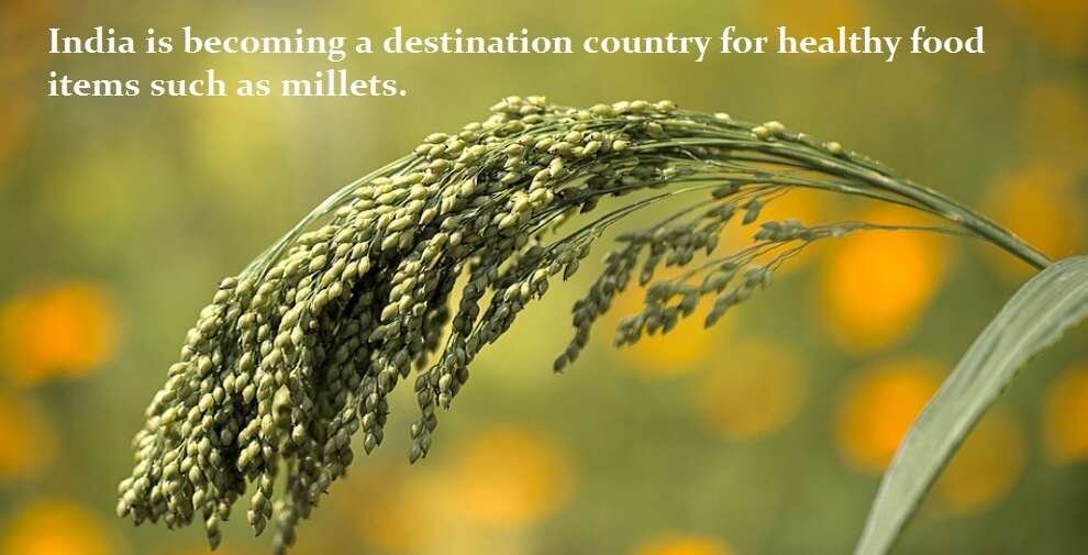 "UN accepted India's proposal, declared 2023 as International Year of Millets"