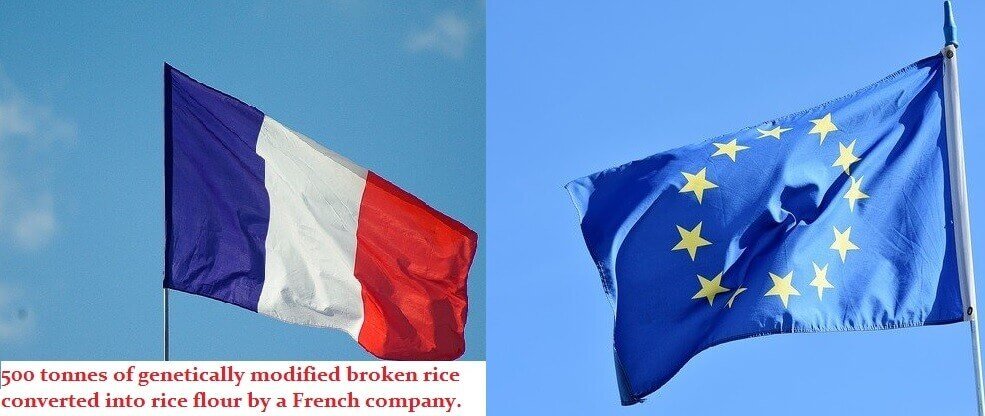 "France, EU, India, GM broken Rice"