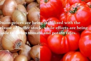 "Onion Prices Stabalised, effort for Tomato and Potato"