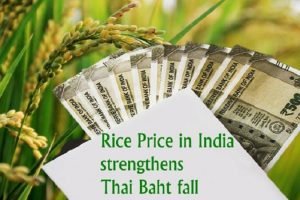 "Rice price in India strengthen; Thai Baht fall"