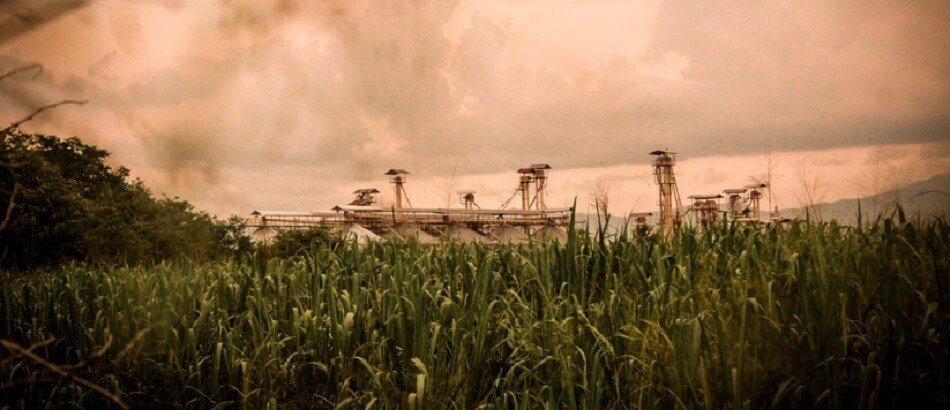 Defaulter sugar mills will not be allowed to crush canes this season